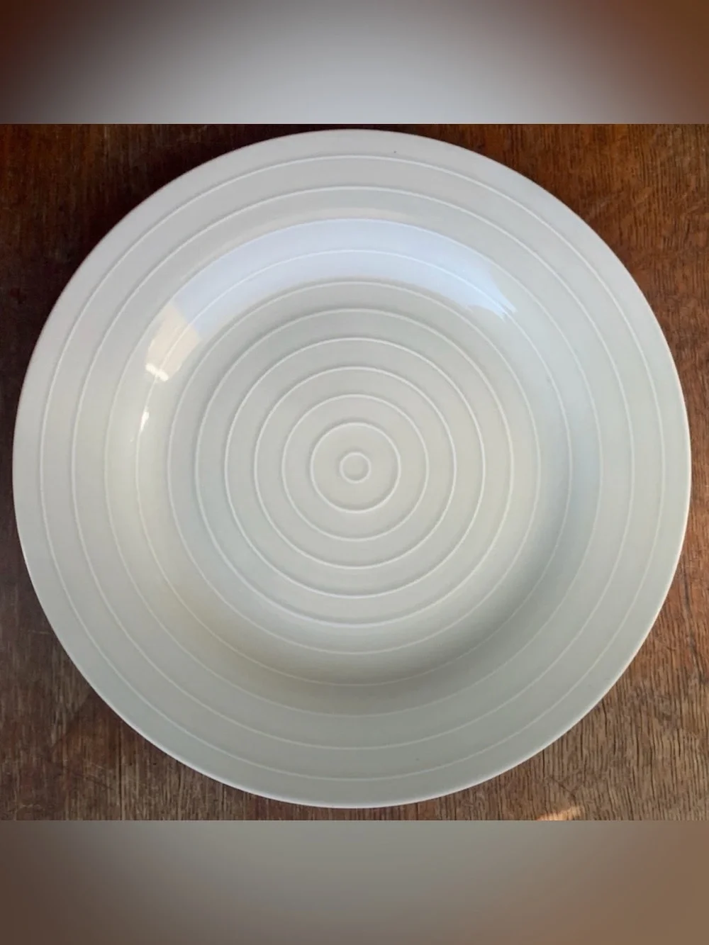 Anna Nilsson IKEA 365 Beige Taupe Concentric Ringed 12.75” Plate